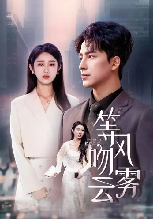 双面回声 剧集封面